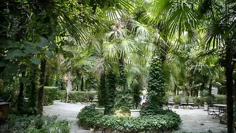 Finca 3, foto 3