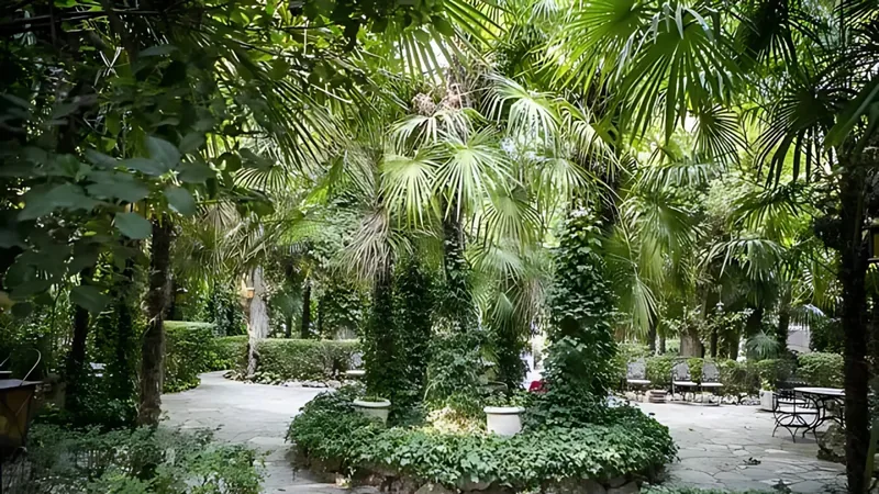 Finca 3 - Imagen 3