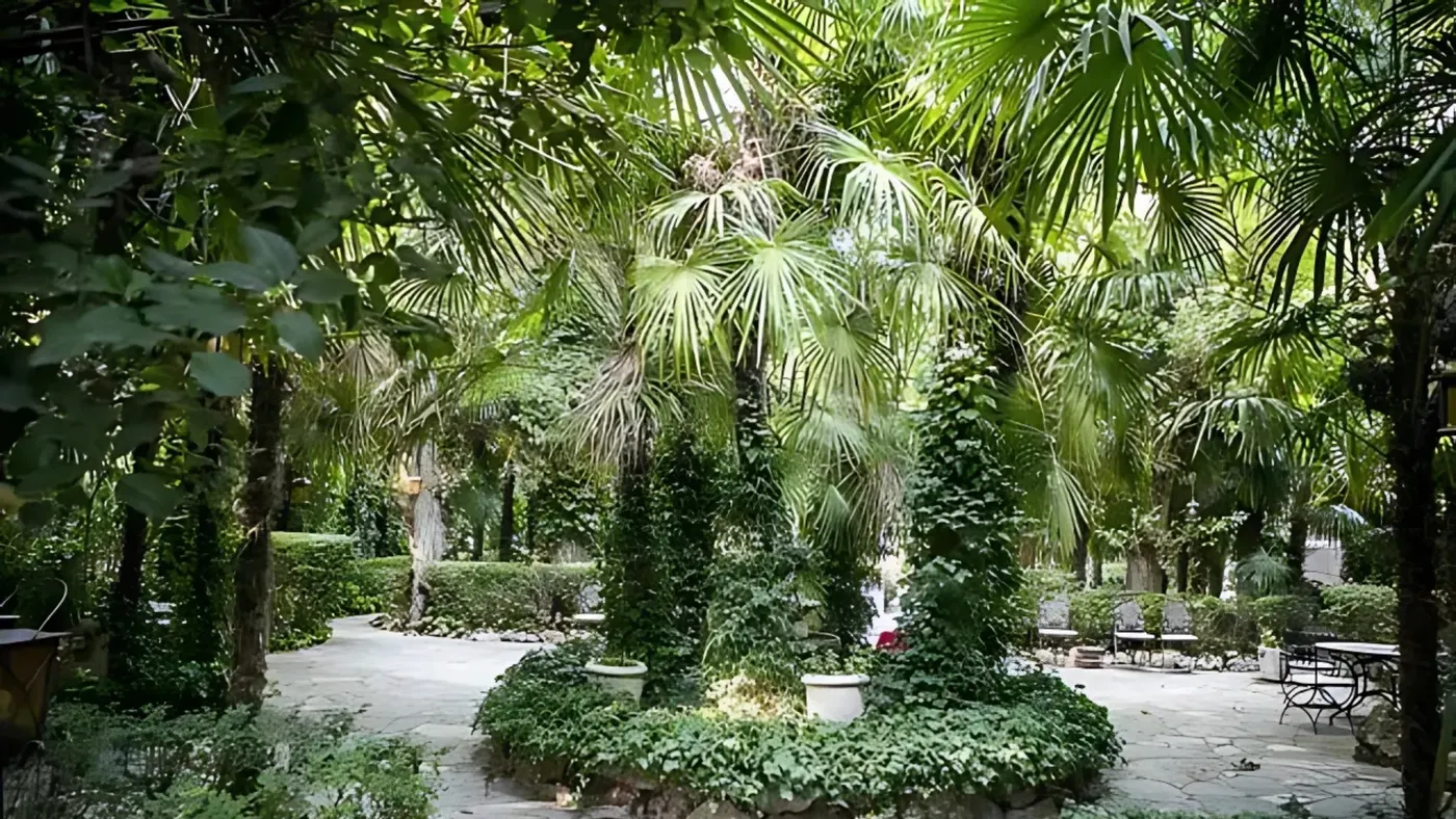 Finca 3 - Imagen 3