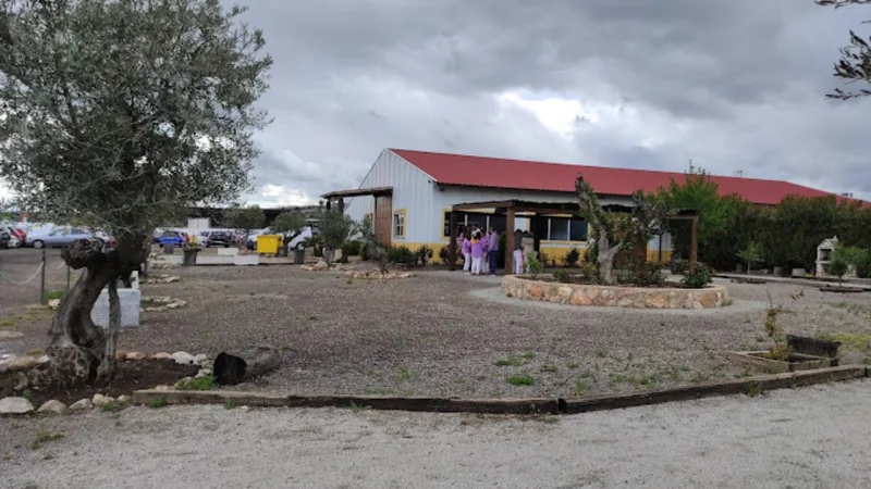 Finca 4 - Imagen 5