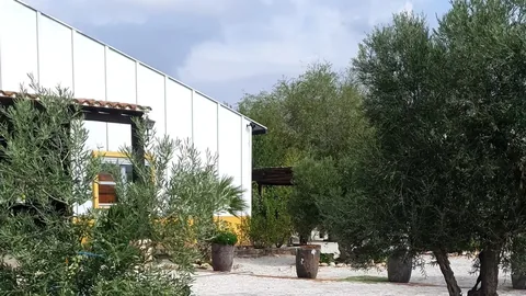 Finca 4, foto 6