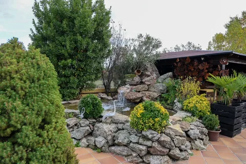 Finca 6, foto 2