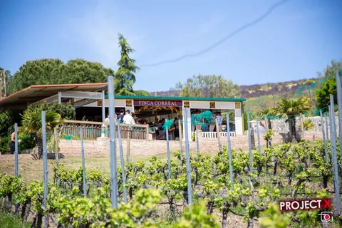 Finca 8, foto 1
